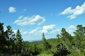 Remote black hills land