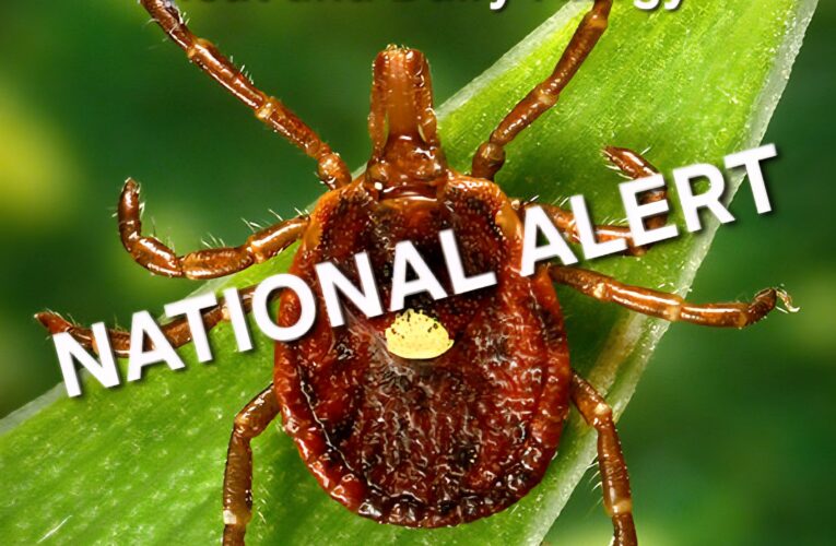 Flash News: Farmer and Heartland Tour Traveler Scott Prentice Diagnosed with Alpha-Gal Syndrome After Tick Bite at Alexander Springs State Park, Florida – “It’s Spreading Faster Than the News Reports”